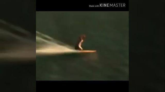 AMV Big Z смотреть онлайн