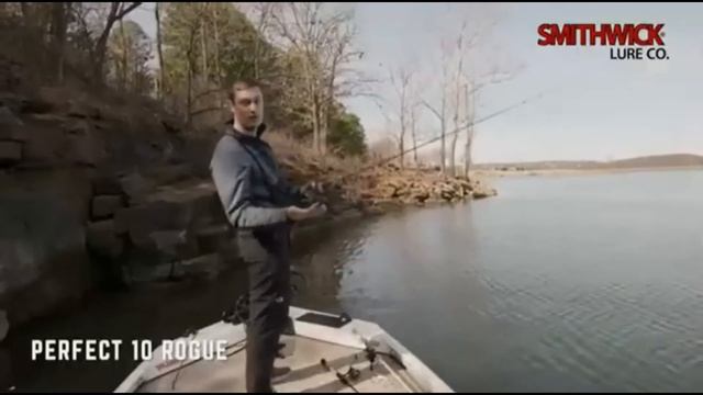 Smithwick Lures Perfect 10 Rogue Fishing Lure