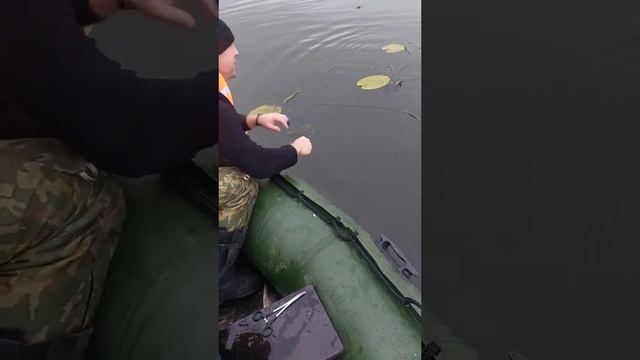 Ловись и не уходи (октябрь 2023) смотреть онлайн