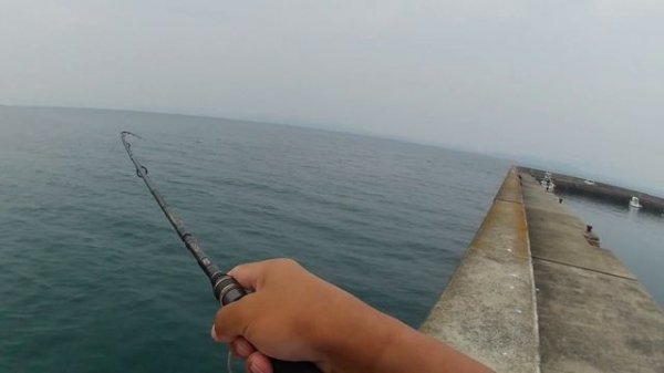 パックロッド買いました。アブガルシアXROSS FIELDXRFS-835M-MB