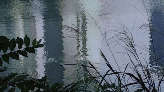 сметана band — молодая мамочка (slowed + reverb) смотреть онлайн