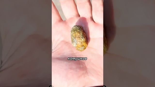 БЕЗОАР смотреть онлайн