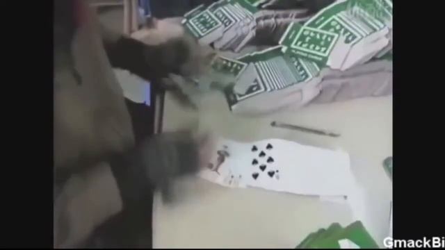 Самые смешные прикольные ролики смотреть онлайн