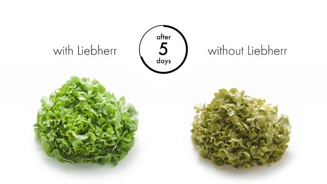 Функция BioFresh холодильников Liebherr смотреть онлайн