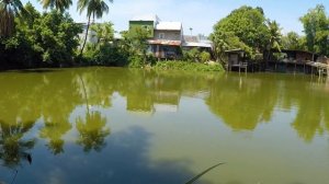 Рыбалка в Нячанге. Ловим рыбу во Вьетнаме на поплавок!