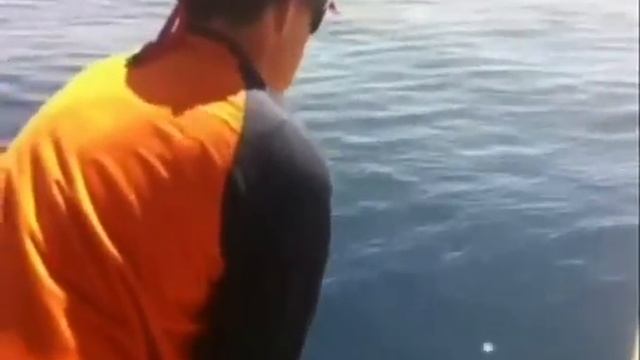 Jigging Master 200g 52b Power Spell vs 53lb Amberjack different angle. смотреть онлайн