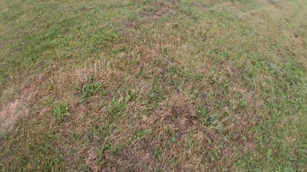 Daiwa Steez A tw 1016 VS Daiwa Steez A tw hlc. Кто кинет дальше?