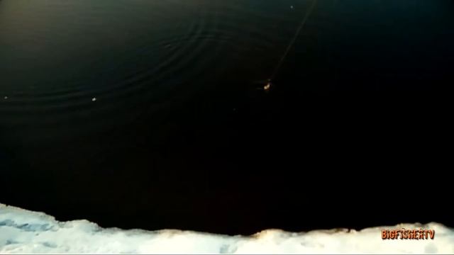 Первый ЛЕЩ-2018 на фидер смотреть онлайн