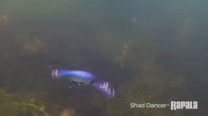 Rapala® Shad Dancer®
