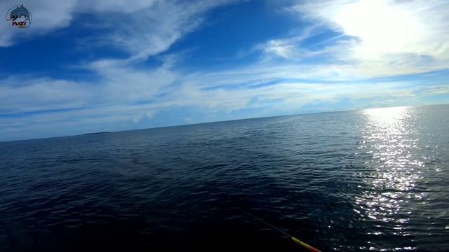 mini Popper 12gr & microJIG 40gr (uv bright) || Capung 1-3lb ft. Ryobi Finesse || UltraLight Fishin смотреть онлайн