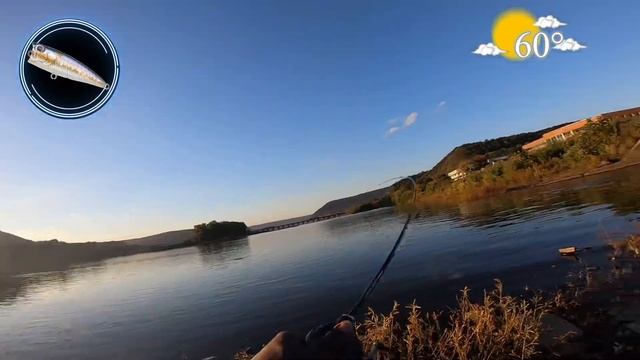 Testing The Shimano Casting Combo Curado Bfs Xg / Freegame XT B64L !!