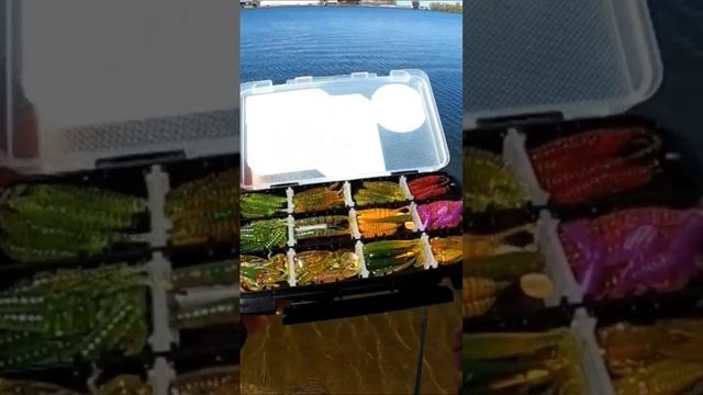 Силиконовые приманки на окуня от 💥 Esfishing 💥 РОЗЫГРЫШ!!! #микроджиг #окуньнаотводной #мормышинг смотреть онлайн