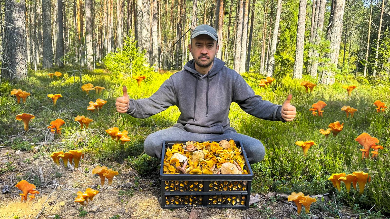 ВЕСЬ ЛЕС СТАЛ ЖЕЛТЫМ! ПОЛЗАЮ НА КОЛЕНЯХ И СОБИРАЮ ГРИБЫ | СОБРАЛ ЦЕЛУЮ КОРЗИНУ ЛИСИЧЕК ЗА 50 МИНУТ смотреть онлайн