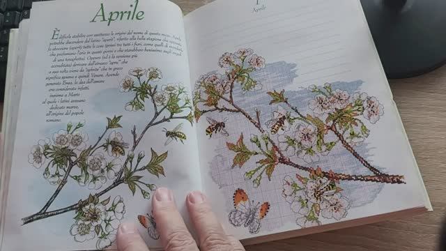 Книга по вышивке крестиком, итальянский журнал "Идеи Сюзанны" смотреть онлайн