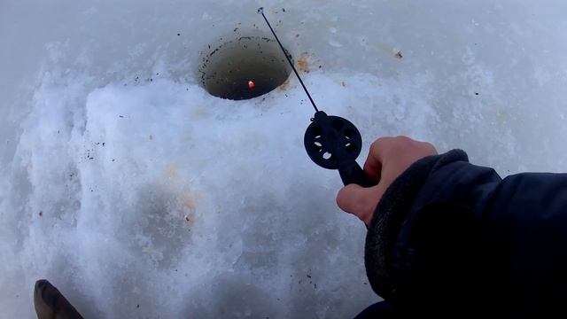 Рыбалка на Финском заливе. Отчёт за 25.02.2024. Стрельна. Плотва. смотреть онлайн