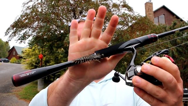 NEW Shimano Vanford and Zodias смотреть онлайн