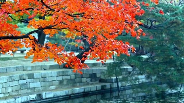 ЗАХАР ВАЛАХА. МЕЛОДИЯ ОСЕНИ смотреть онлайн