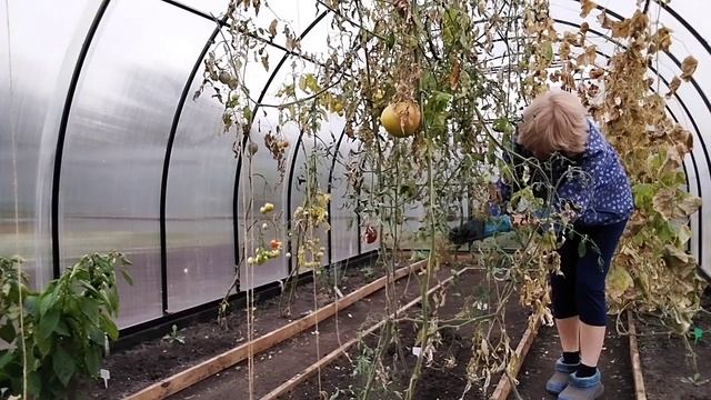 Жизнь в деревне. Хроника дня. смотреть онлайн