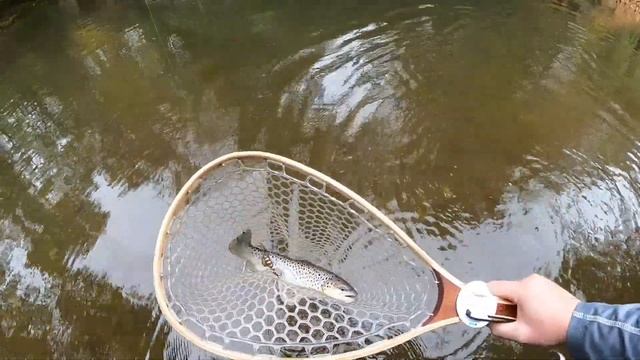 River Fishing for BROWN TROUT with Spinners! (Trout Torpedoes) смотреть онлайн