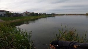 Crazy fish ARION 742 ULS fishing for perch in poland  თევზაობა ტბის ქორჭილაზე