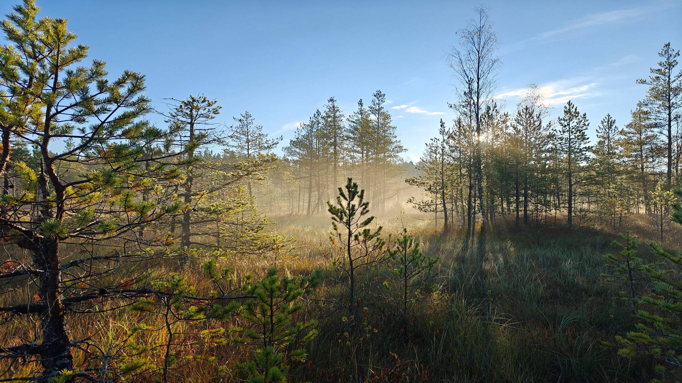 2024-10-05_Черная Грива