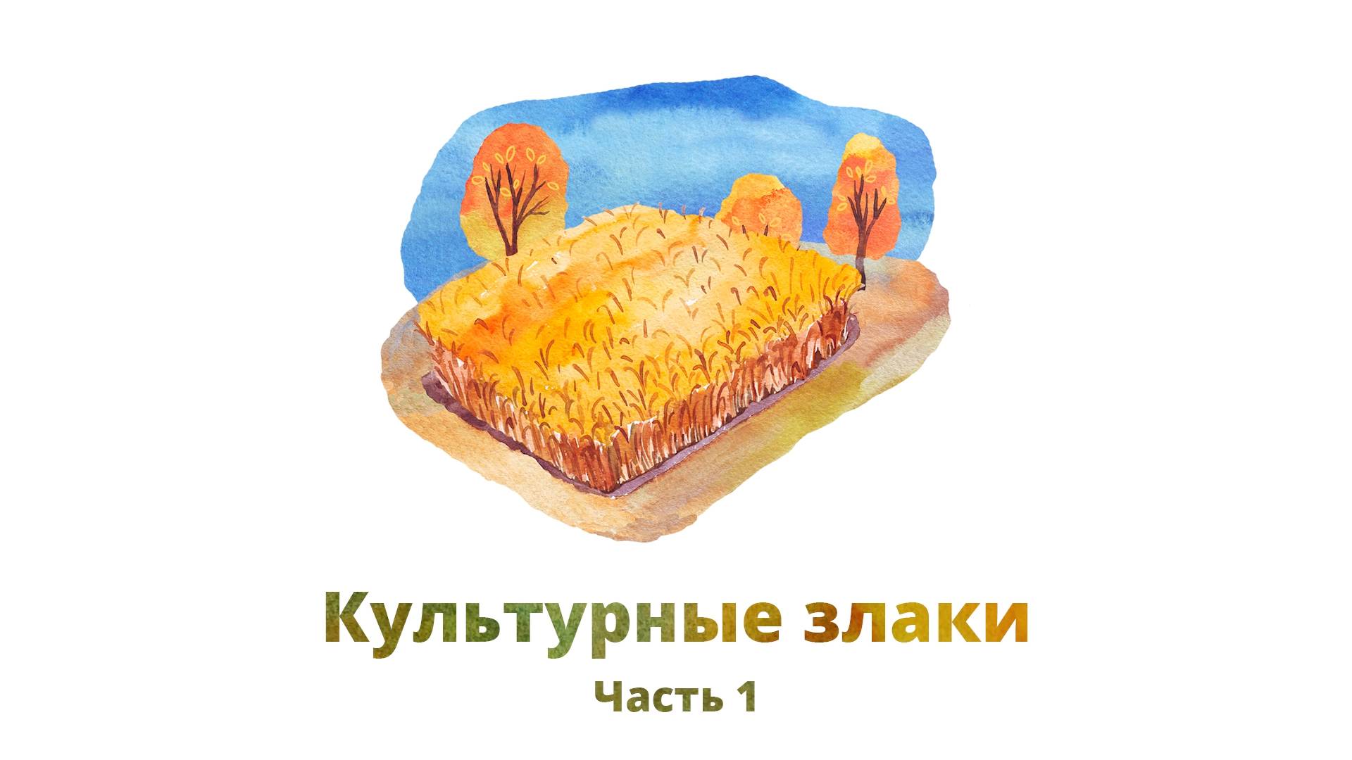 26. Культурные злаки, часть 1 смотреть онлайн