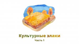 26. Культурные злаки, часть 1
