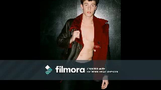 I Wanna (Mark Hoppus Remix) (Shawn Mendes Video) смотреть онлайн