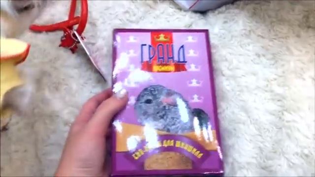 у меня дома ЭЛЛИ ДИ ?! / ЭЛЛИ ДИ в гостях / отдала своих улиток ? / влог