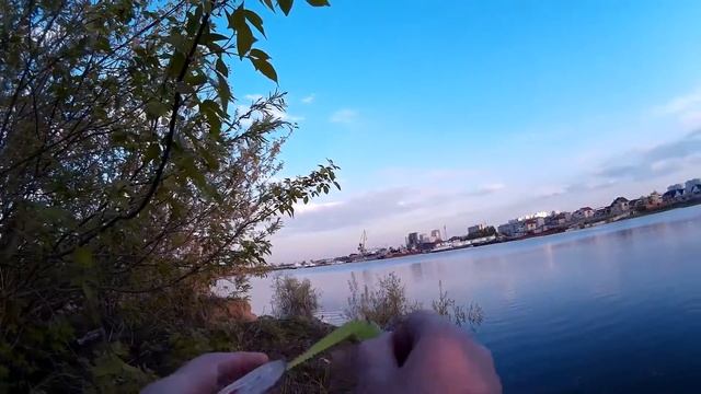 разлавливаем Mottomo Falcata 902MH