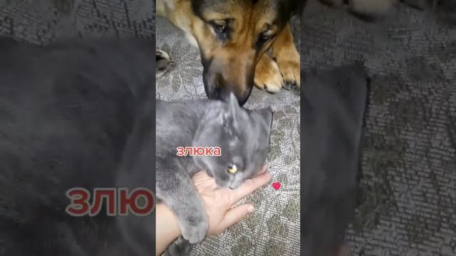 Друзьяшки смотреть онлайн