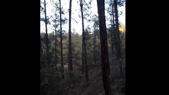 Multiple Skinwalkers Screaming At Each Other In The Gila National Forrest (Skinwalker Scream)