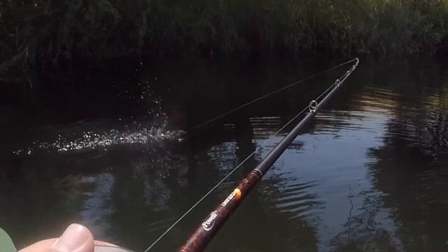 River2Sea Whopper Plopper 75 смотреть онлайн