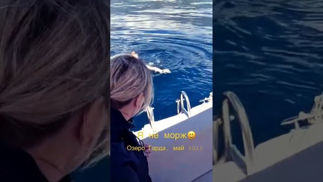 Купание с прогулочной лодки. Полное видео на моем канале смотреть онлайн