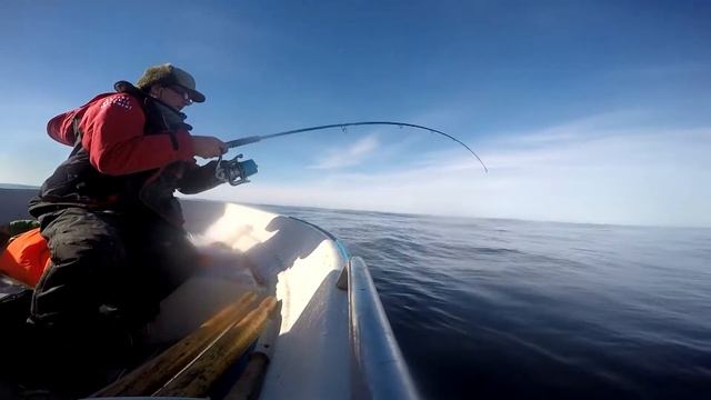 Рыбалка в Норвегии лучшее моменты - Angeln In Norwegen