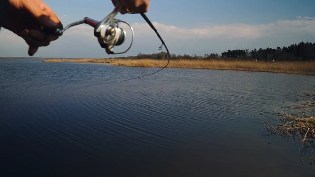 Sherman Pro New Generation Picker - Recenzja