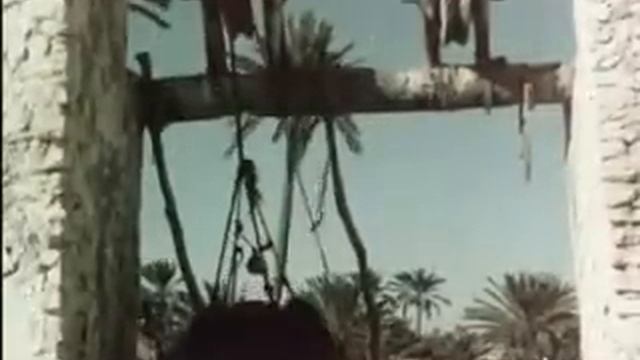 patrimoine djerbien.. ...berrajah ejjouama33 .... Djerba des années 1958 смотреть онлайн