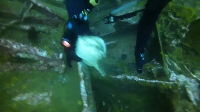 Дайвинг в Приморье, неделя вторая, юг. смотреть онлайн