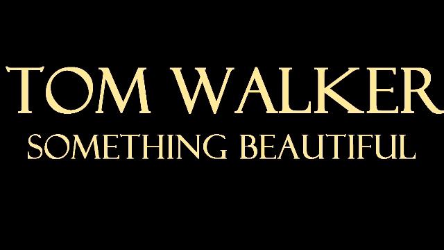 Tom Walker Ft. Masked Wolf - Something Beautiful Karaoke/Instrumental