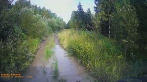 ПОКАТУШКИ ПО ЛЕСУ НА УАЗ БУХАНКЕ