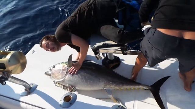 Mallorca a big game fishing hotspot? YEEEEEEES!! смотреть онлайн