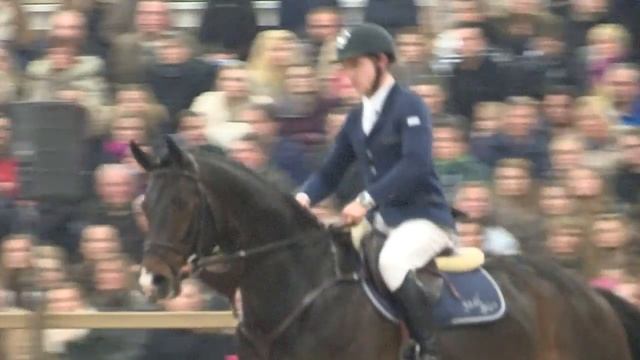 Lauw van Vliet Hengstenshow 2015 смотреть онлайн