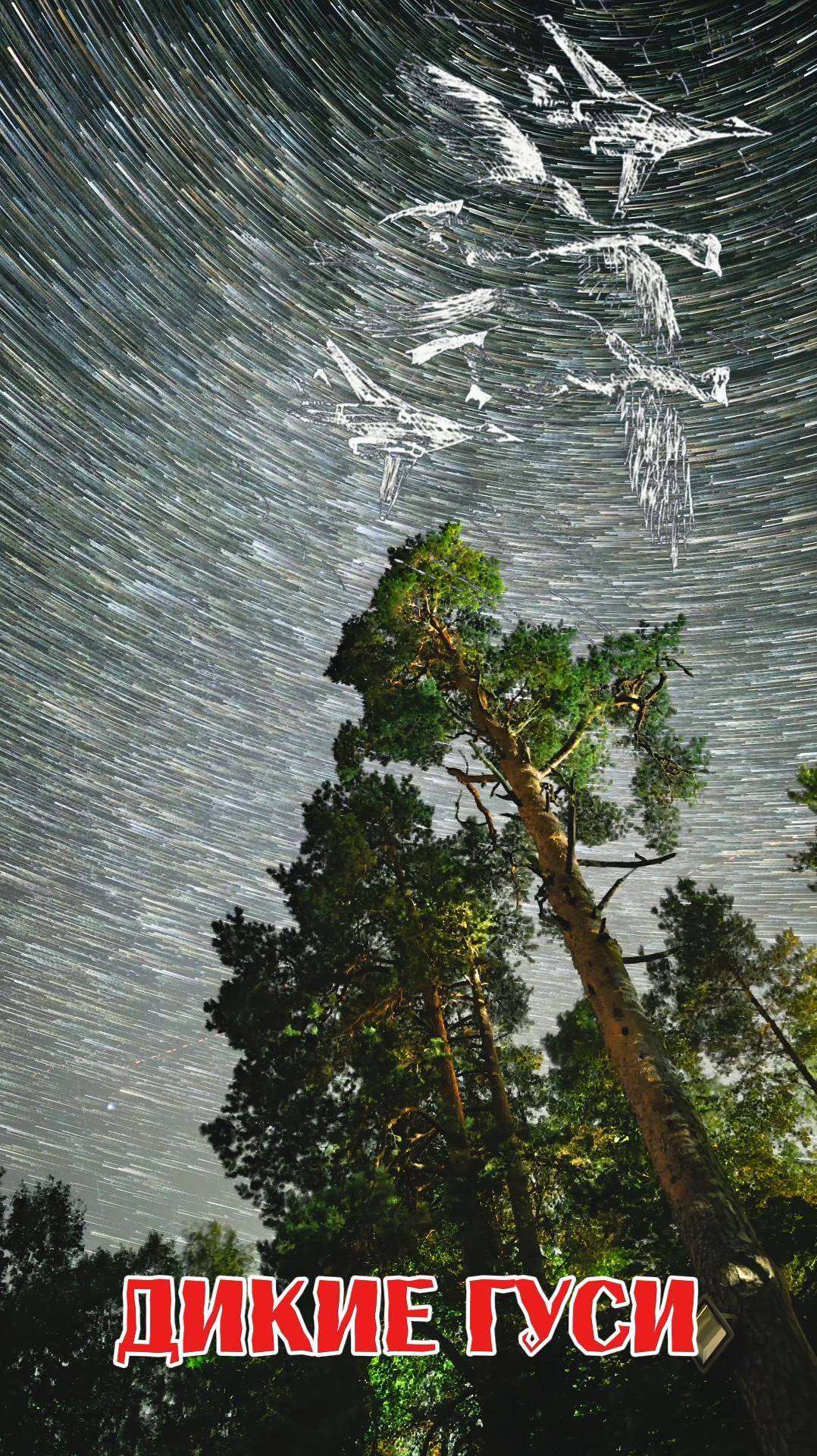 Дикие Гуси now