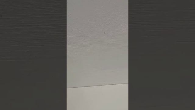 samsung galaxy a10 защита от старения смотреть онлайн