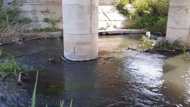 Nu am pescuit dar am fost sa vad cum mai arata Argesul, Sabarul si Ciorogarla in prohibitie смотреть онлайн