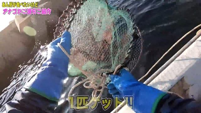 海の中に罠を仕掛けてみた結果がコチラ！ смотреть онлайн