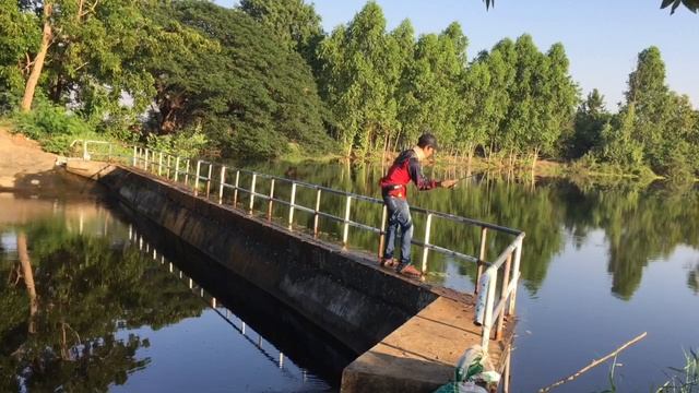 【ピーコックバス釣行】Peacock Bass FishingThailand November 2020 With O.S.P DURGA 73SP