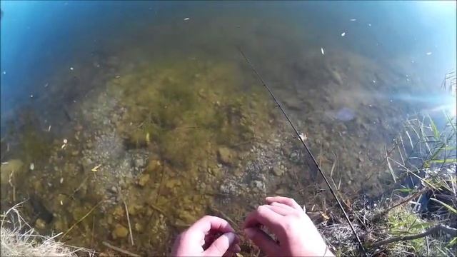 MEGABASS DOG-X SPEED SLIDE & ZIPBAITS RIGGE 70F