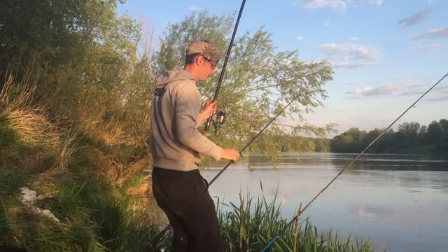 Leszcz, Płoć, Krąp | rzeka San | feeder | Wędkarstwo смотреть онлайн