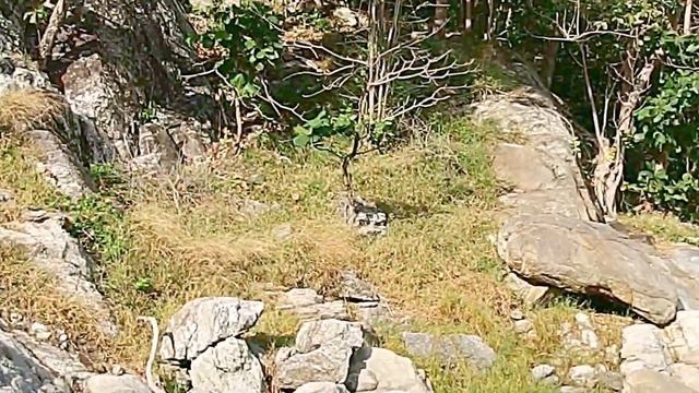 Thailand. Amazing Racha Island Raha. Bungalow Raya Resort